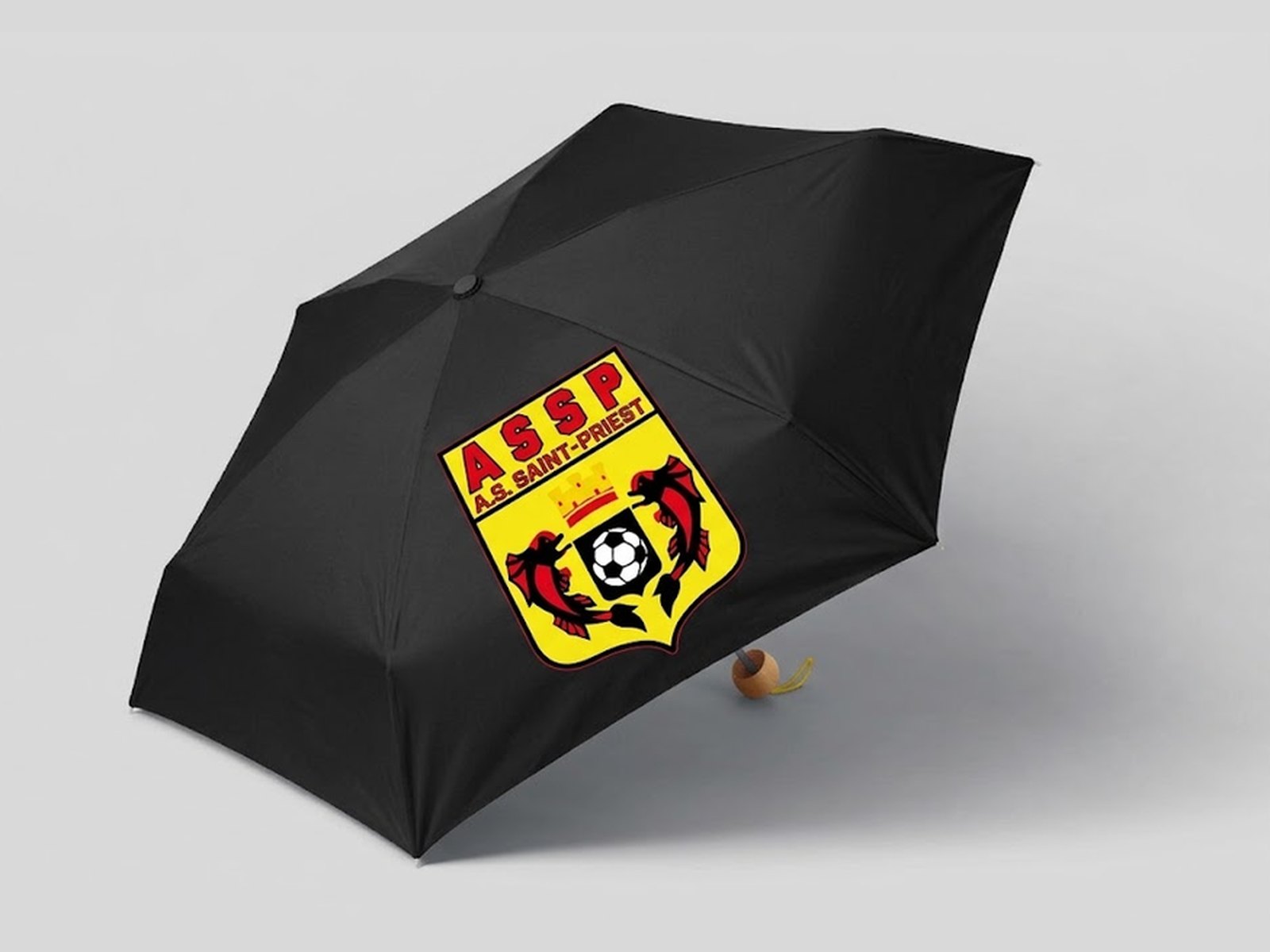 Parapluie de poche personnalisé — ASSP