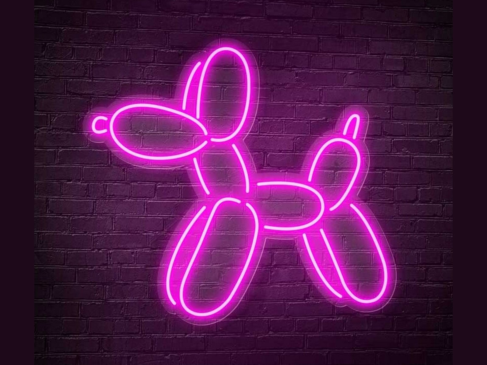 Néon LED décoratif — ballon chien
